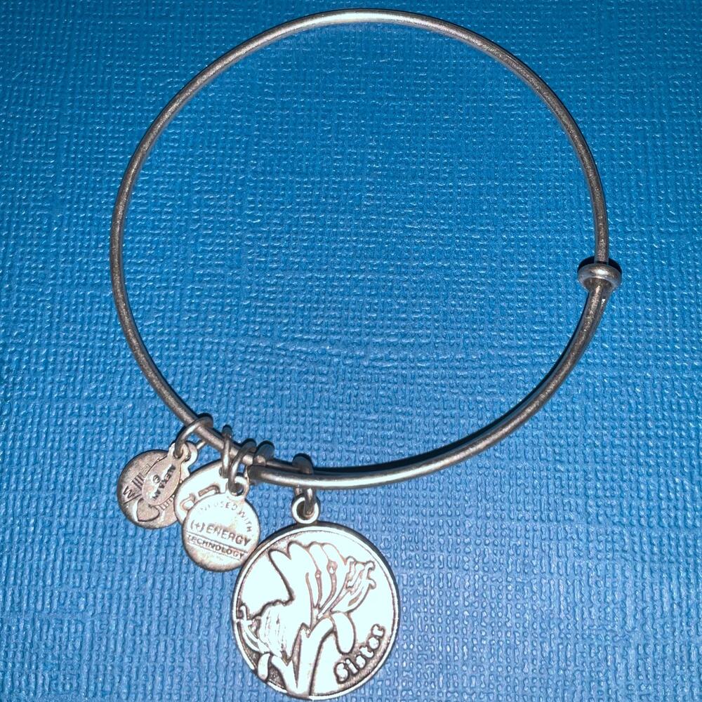 ALEX & ANI "Sister" Bangle Bangle